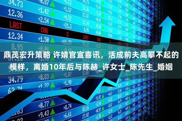 鼎茂宏升策略 许婧官宣喜讯，活成前夫高攀不起的模样，离婚10年后与陈赫_许女士_陈先生_婚姻