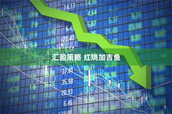汇盈策略 红烧加吉鱼