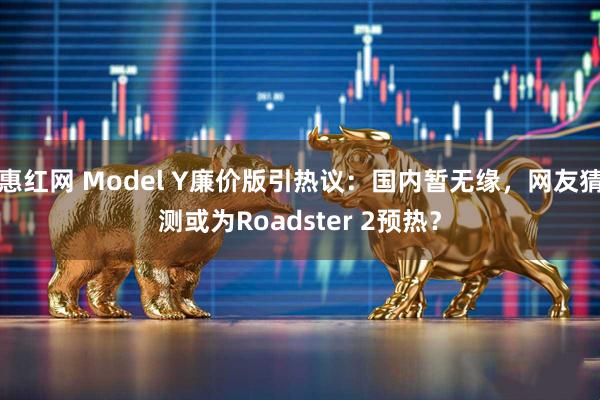 惠红网 Model Y廉价版引热议：国内暂无缘，网友猜测或为Roadster 2预热？