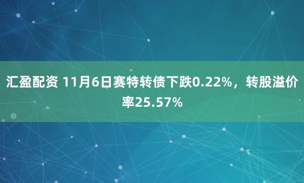 汇盈配资 11月6日赛特转债下跌0.22%，转股溢价率25.57%