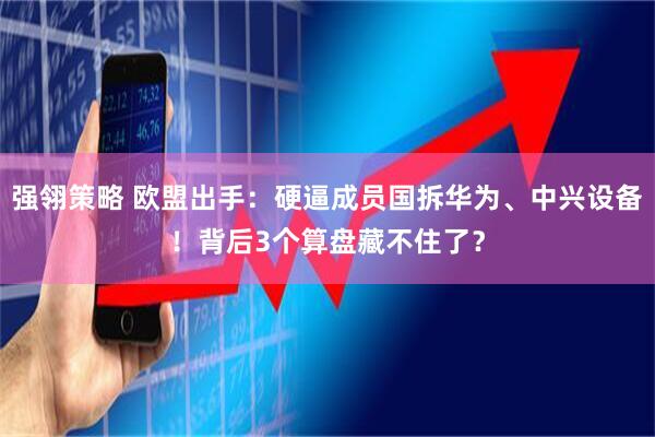 强翎策略 欧盟出手：硬逼成员国拆华为、中兴设备！背后3个算盘藏不住了？